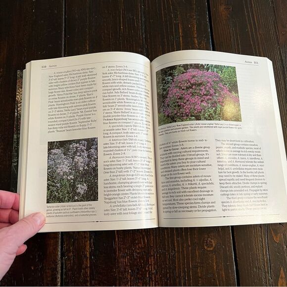 Rodale’s Illustrated Encyclopedia of Perennials - Picture 5 of 7